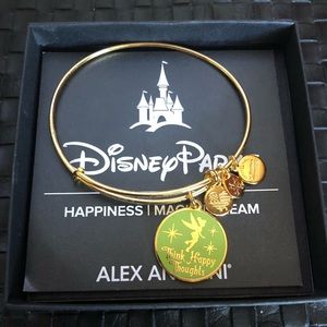 Disney Parks Alex and Ani bracelet